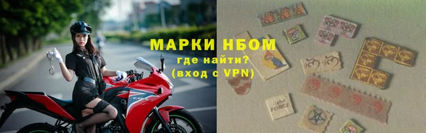 стаф Нея
