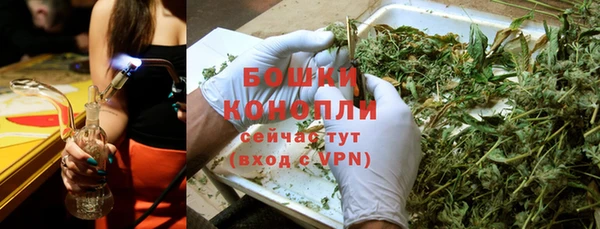стаф Нея