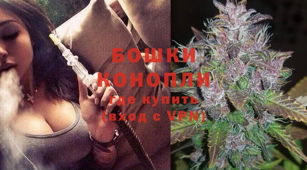 стаф Нея