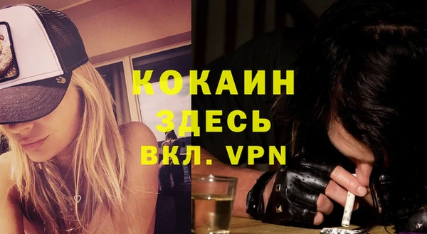 стаф Нея