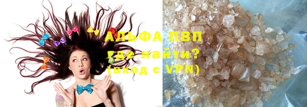 стаф Нея