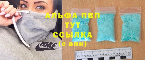 стаф Нея