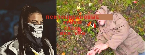 стаф Нея