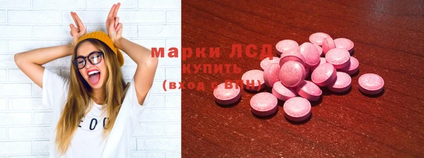 стаф Нея